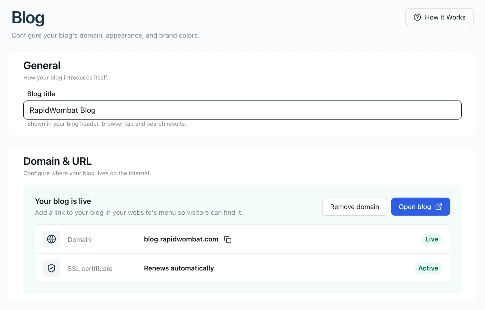 The Blog settings page with the General and Domain & URL cards