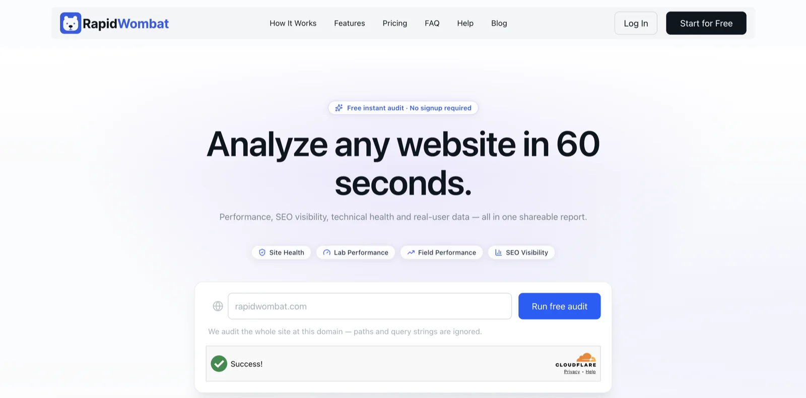 The free audit page — enter a domain and run the audit