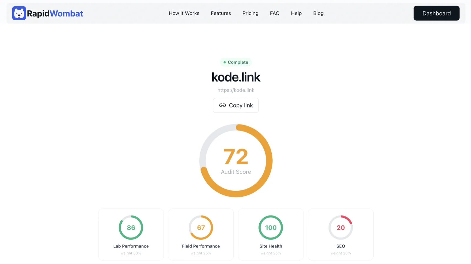 A finished audit report with the overall score and category scores
